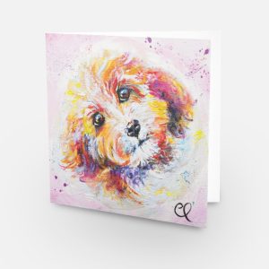 CARD Cavapoochon Dog